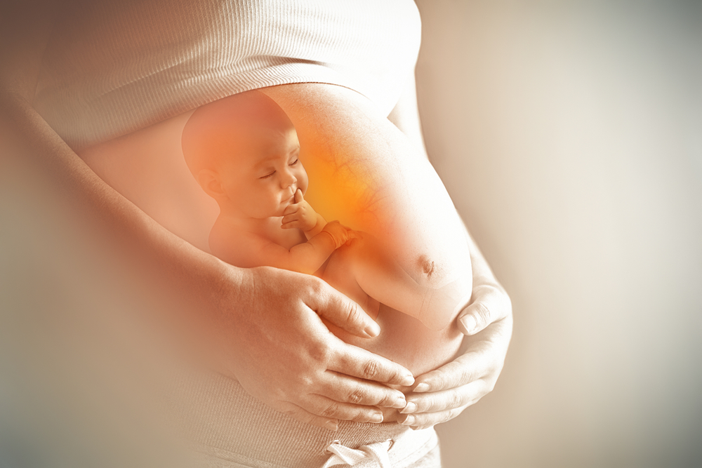 Pferdesalbe in schwangerschaft - Bewundern Sie dem Sieger unserer Experten